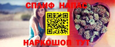 индика Краснознаменск
