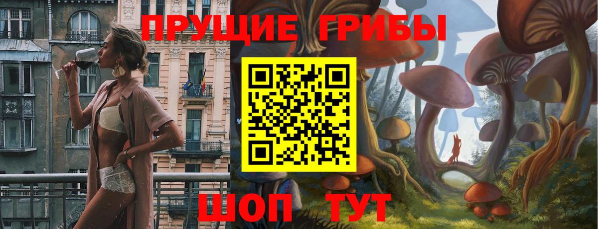 Коркино  Галлюциногенные грибы GOLDEN TEACHER  Вход с VPN 